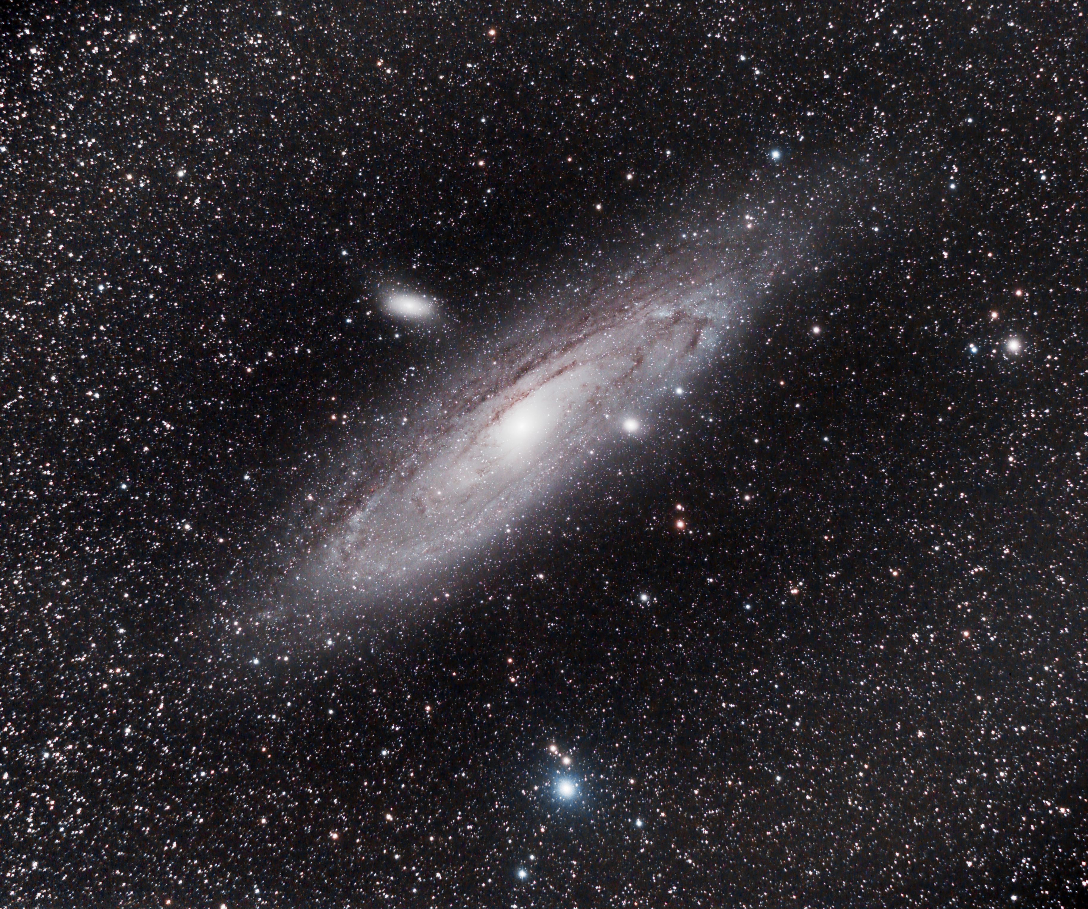 M31