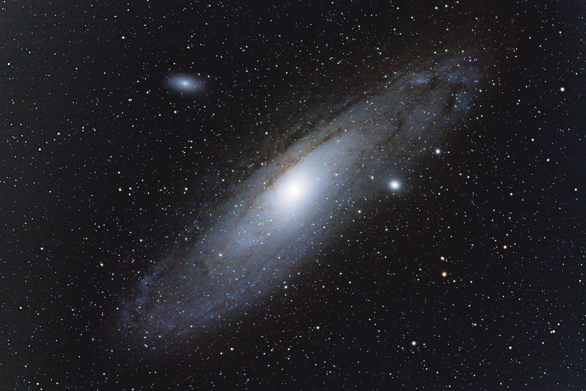 M31