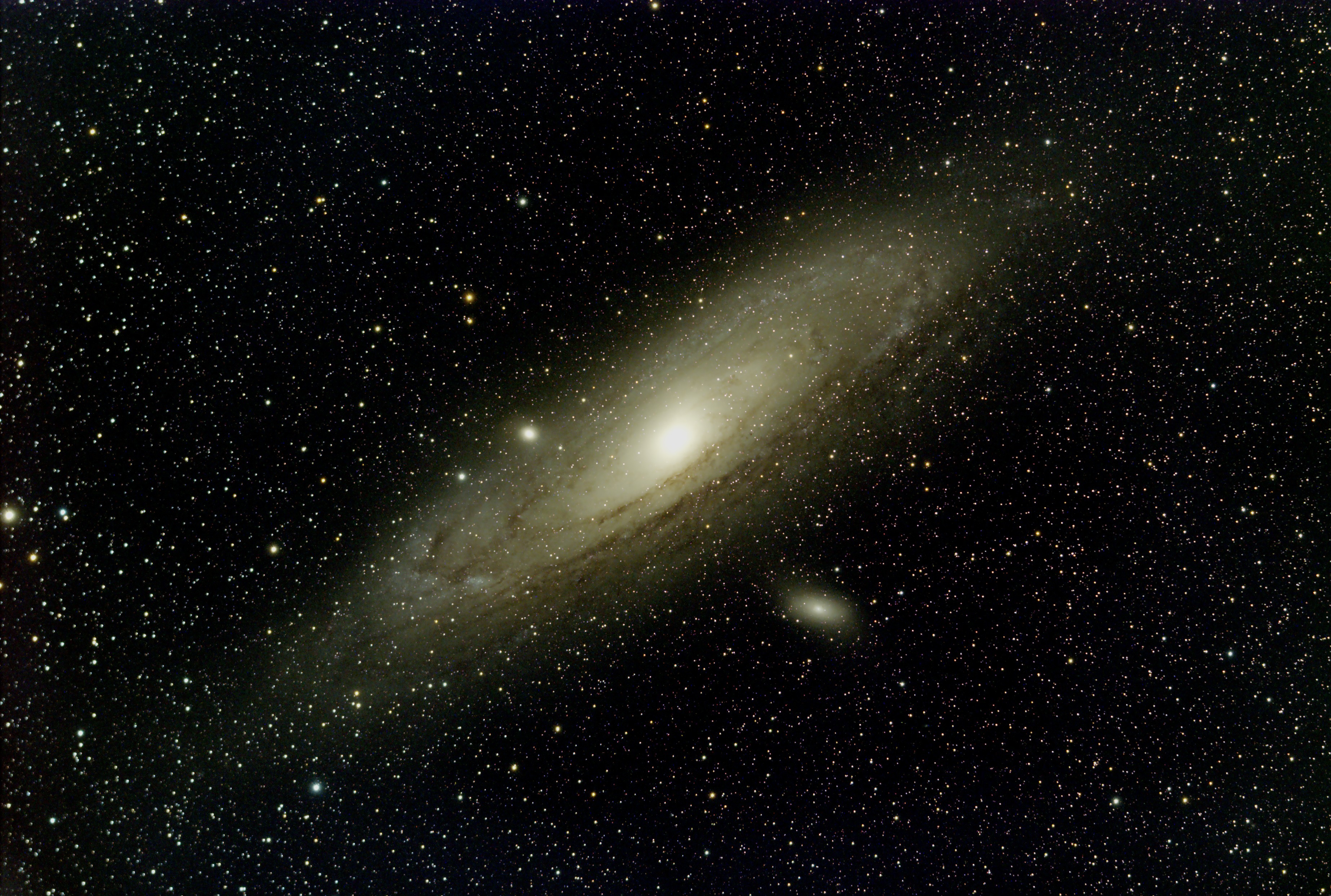 M31