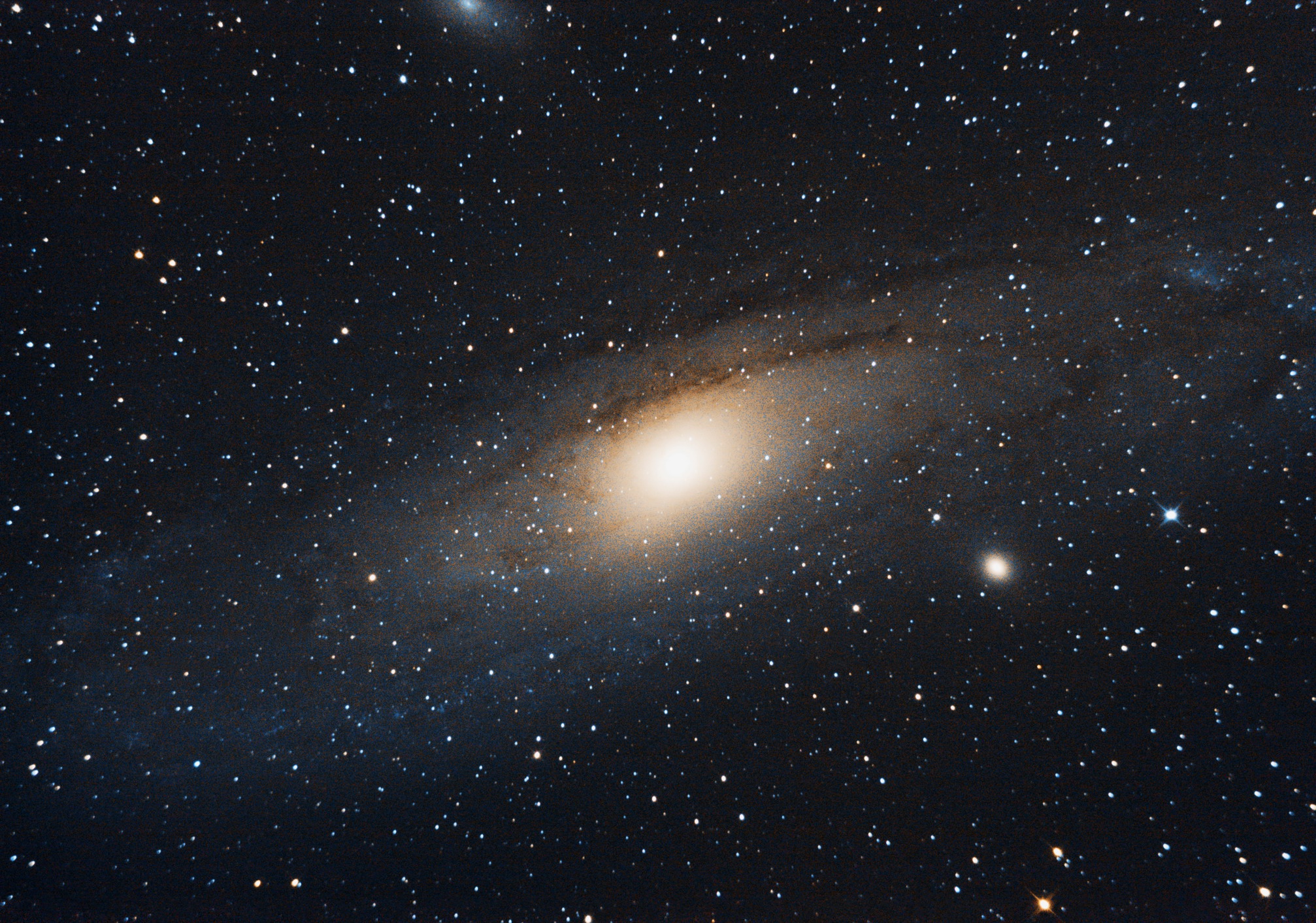 M31