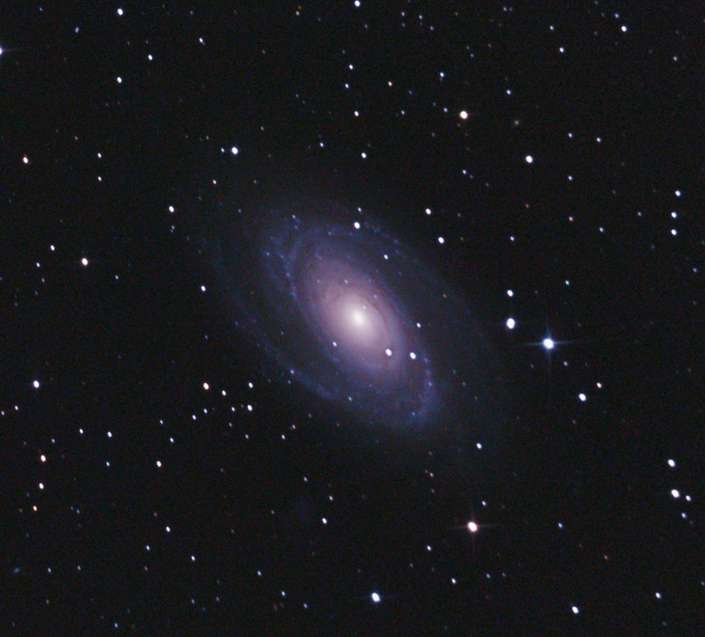 M81