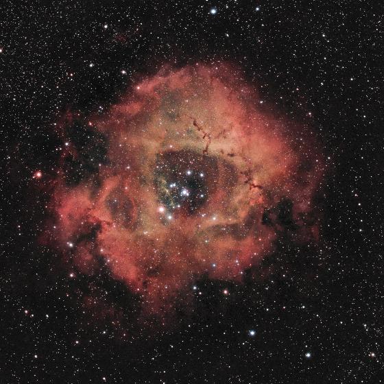NGC 2244-C