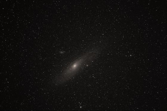 M31