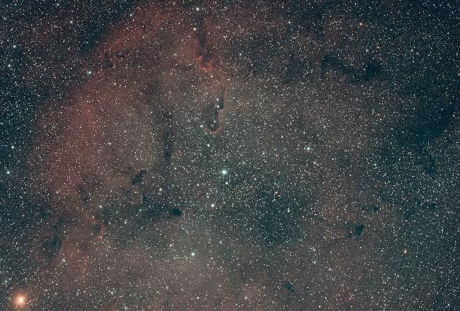 IC1396