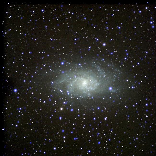 M33