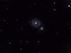 M51