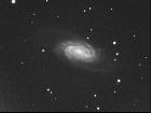 ngc2903 C9.25