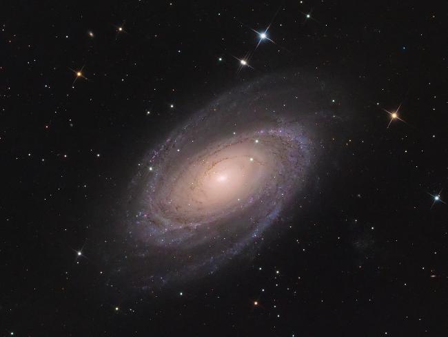 M81