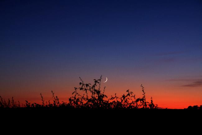 Coucher de Lune du 06/11/2021 (1)