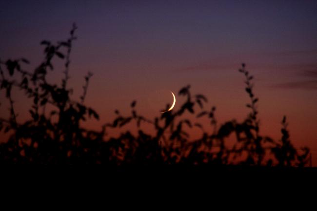 Coucher de Lune du 06/11/2021 (2)