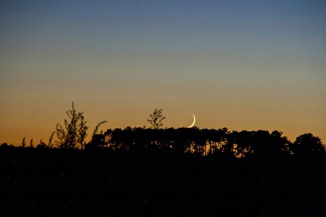 Coucher de Lune au 30/07/2022