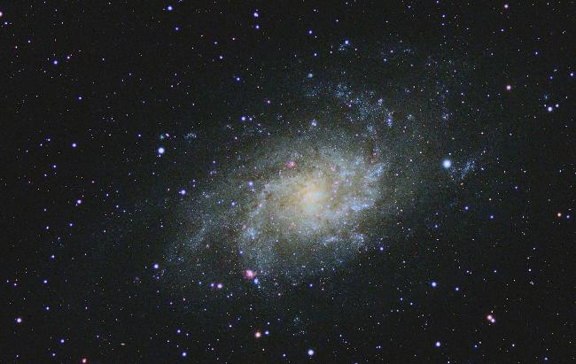 M33 - galaxie du Triangle : crop
