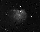 ic2175 le singe