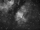 ic1308b