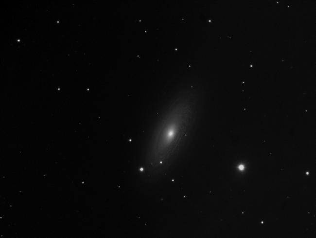 ngc2481