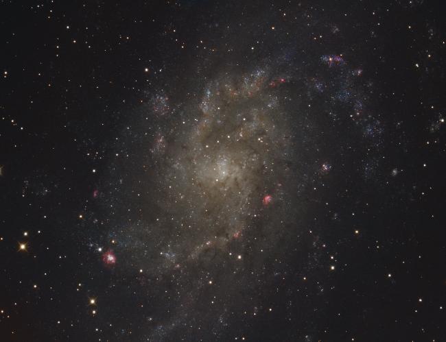 M33