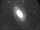 M81 brut