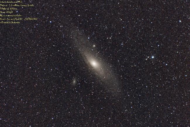 M31