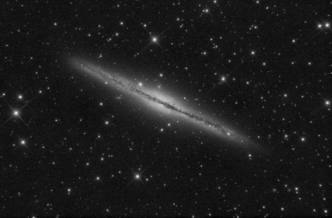 ngc891 L