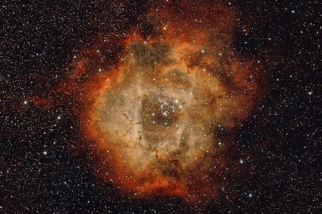 NGC 2237, la nébuleuse de la Rosette