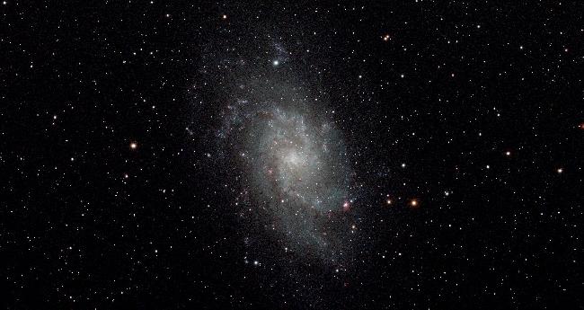 M33