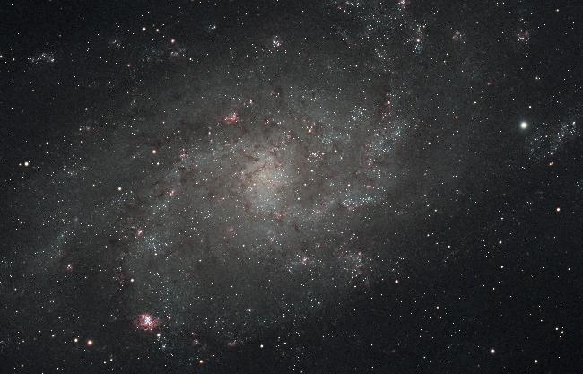 M33