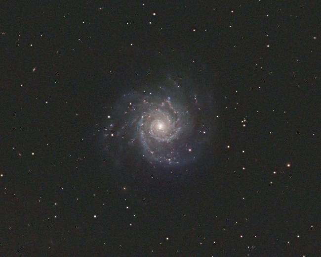 M74