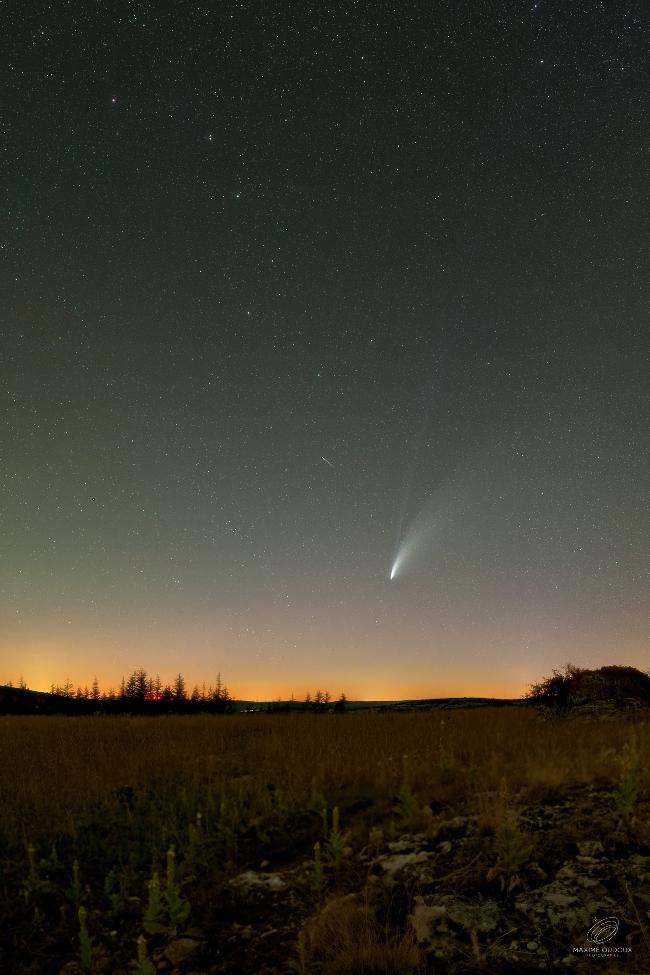 Neowise et la Grande Ourse dans la RICE des Cévennes