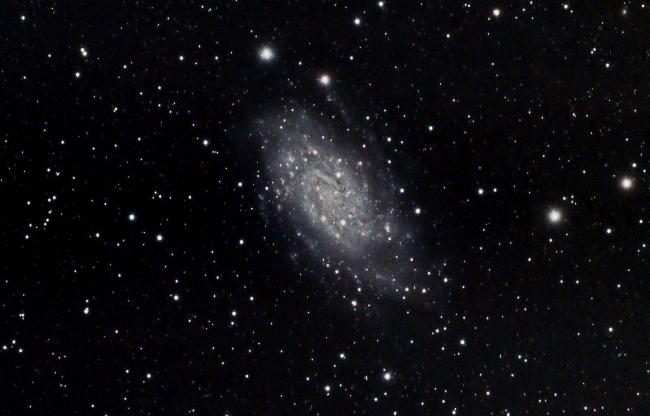 NGC 2403