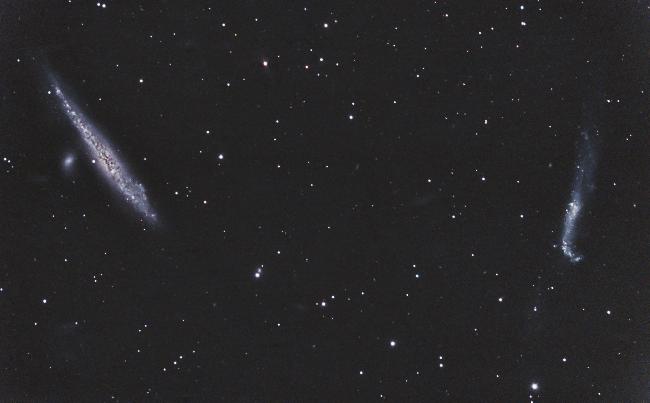 NGC4631 - Galaxie de la Baleine et NGC4656 - Galaxie du baton de hockey