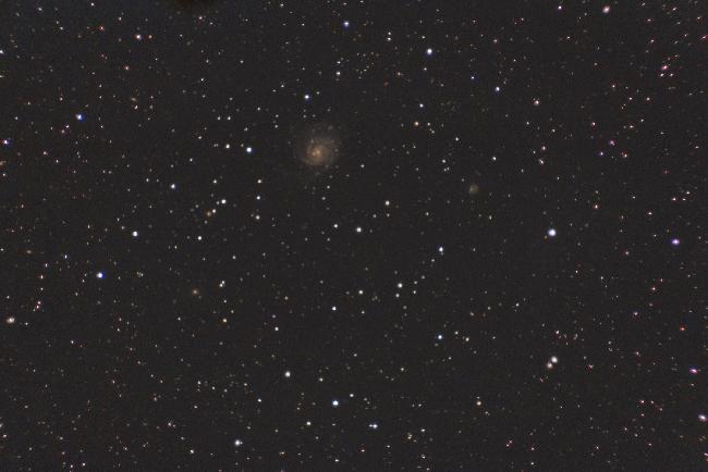 M101_nikon d50_lulu_acro