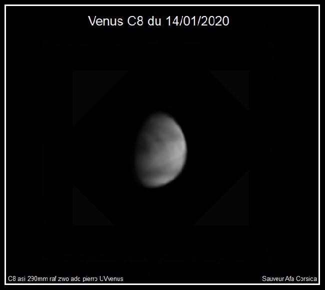 Venus C8 14/01/2020