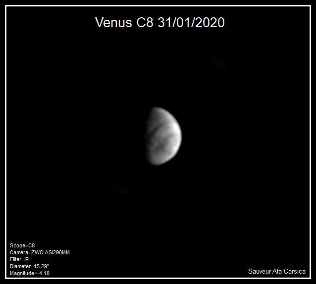 Venus du 31/01/2020