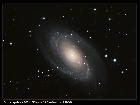 M81