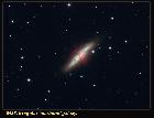 M82