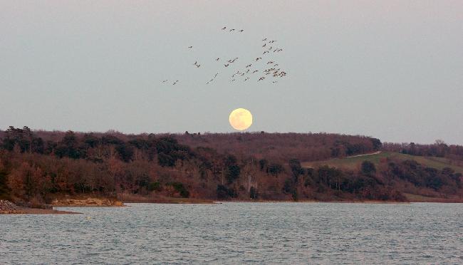 Lever Lune 19-02-2019 - 2