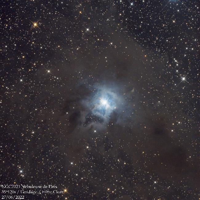 NGC7023 - Nébuleuse de l'iris