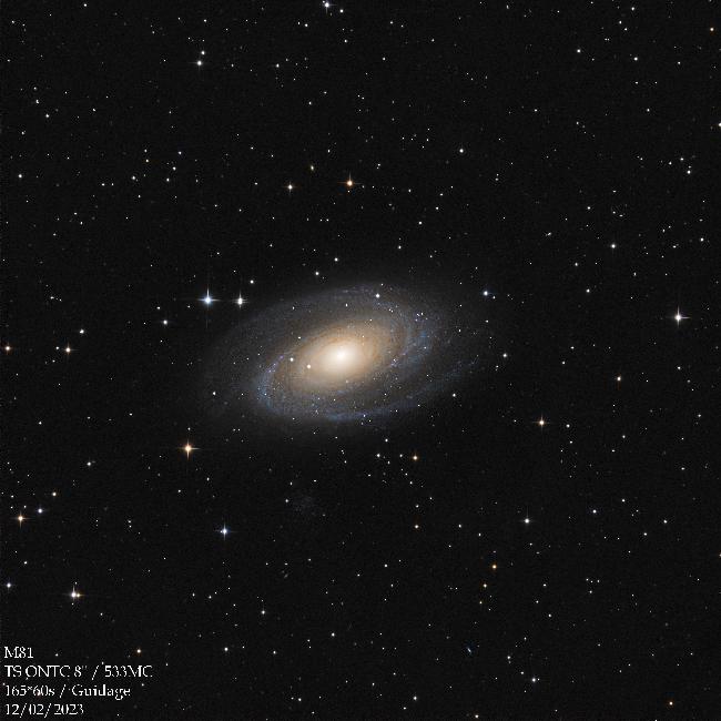 M81