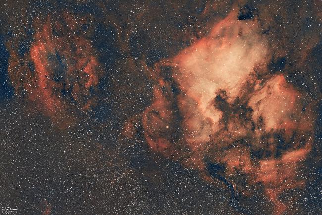 NGC7000 grand champ