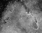 IC1396 detail