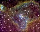 IC1805 SHO