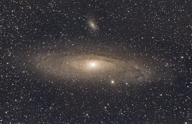 M31