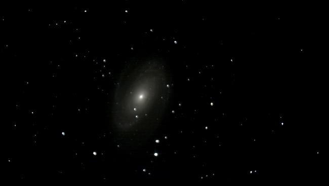 M81