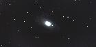 m81a