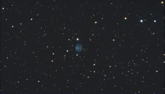 NGC6905-T300-08112017