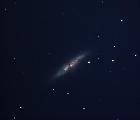 M81