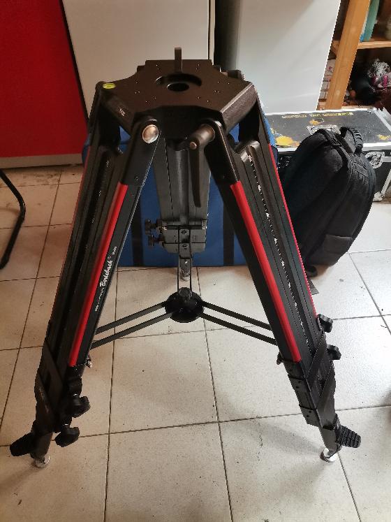 Monture Skywatcher EQ6-R Pro (monture seule ou avec trépied Berlebach Planet)