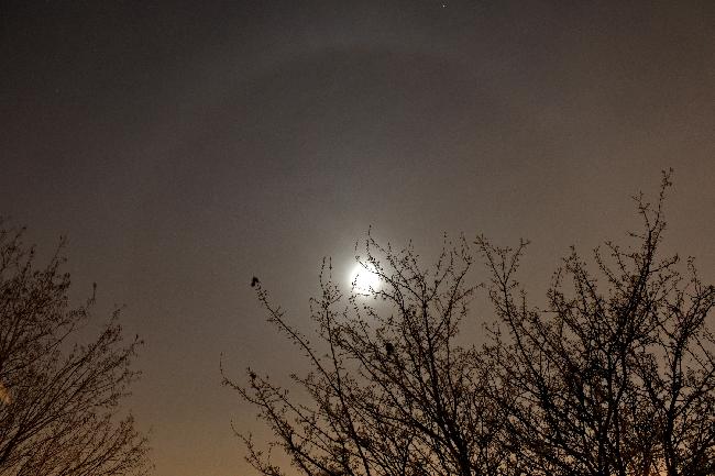 Petit halo lunaire