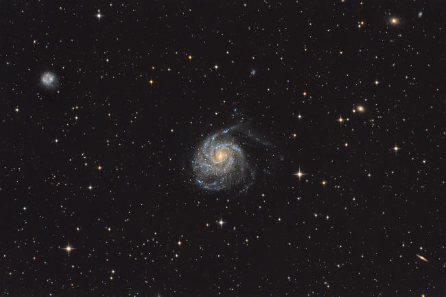 M101 