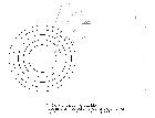 Plan de la mire gravée